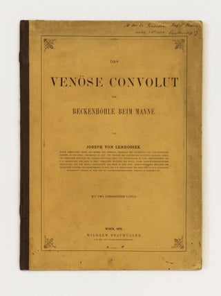 Das venöse convolut der beckenhöhle beim manne