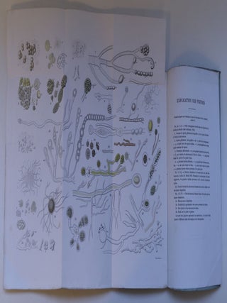 Item #4094 Histoire médicale et topographique du choléra-morbus, renfermant les moyens de...