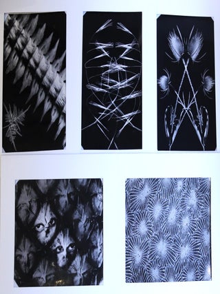 Item #4310 Ensemble de 5 grands photogrammes, photomontages et microphotographies. HAMON,...