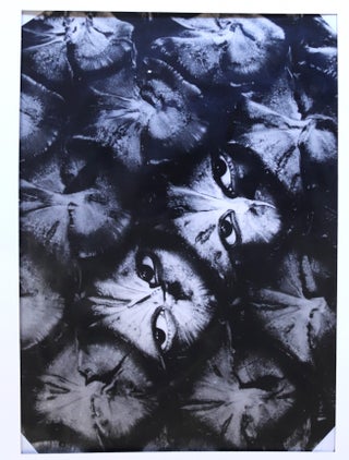Ensemble de 5 grands photogrammes, photomontages et microphotographies
