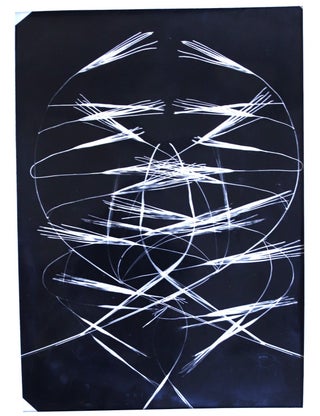 Ensemble de 5 grands photogrammes, photomontages et microphotographies