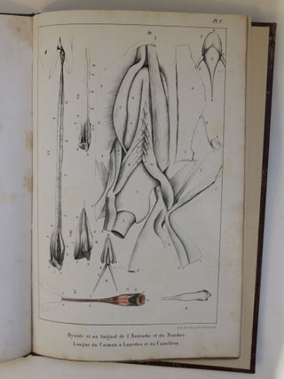 Item #4347 Mémoire sur quelques particularités des organes de la déglutition de la classe des...