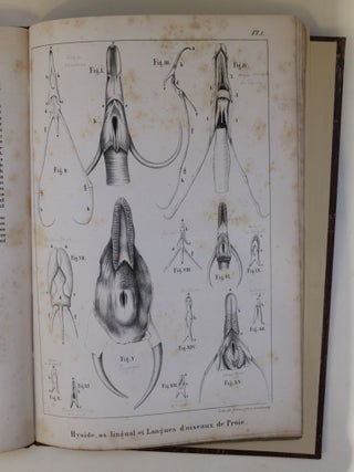 Mémoire sur quelques particularités des organes de la déglutition de la classe des oiseaux et des reptiles pour servir de suite à un premier mémoire sur la langue