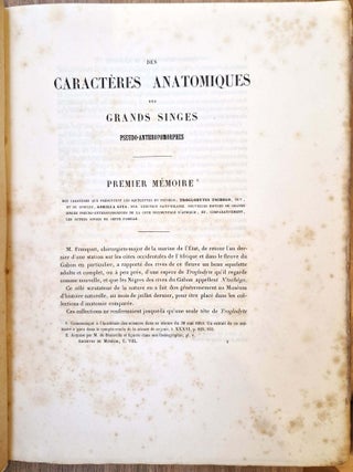Des caract&egrave;res anatomiques des grands singes pseudo-anthropomorphes