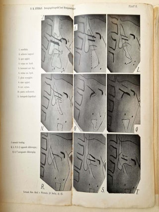Item #4455 Bewegingsfotografie met Röntgenstralen. EIJKMANN, Pieter Hendrik