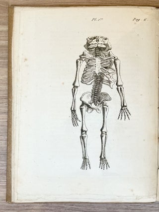 Item #4536 Recherches physiologiques et expériences sur la vitalité....