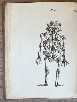 Recherches physiologiques et expériences sur la vitalité