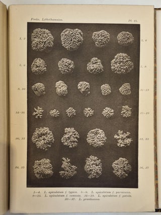 The Norwegian Forms of Lithothamnion. With 23 plates.