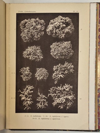 The Norwegian Forms of Lithothamnion. With 23 plates.
