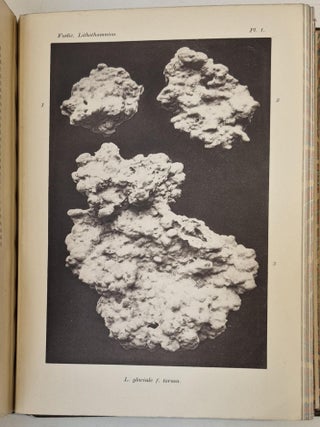 The Norwegian Forms of Lithothamnion. With 23 plates.