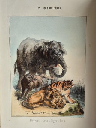 Histoire naturelle pour la jeunesse, contenant l'histoire abrégée des animaux… ornée de 150 gravures sur bois et de 12 lithographies coloriées