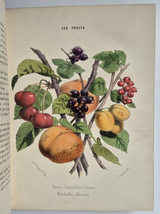 Histoire naturelle pour la jeunesse, contenant l'histoire abrégée des animaux… ornée de 150 gravures sur bois et de 12 lithographies coloriées