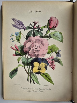 Histoire naturelle pour la jeunesse, contenant l'histoire abrégée des animaux… ornée de 150 gravures sur bois et de 12 lithographies coloriées