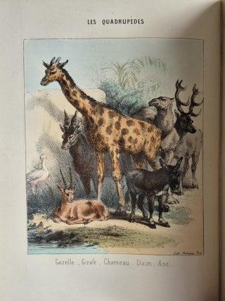 Histoire naturelle pour la jeunesse, contenant l'histoire abrégée des animaux… ornée de 150 gravures sur bois et de 12 lithographies coloriées