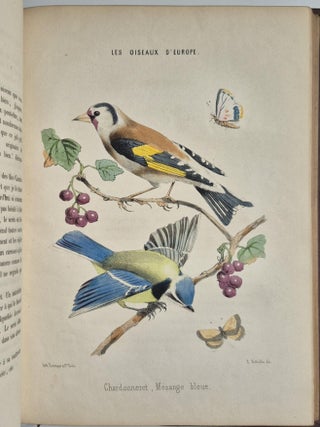 Histoire naturelle pour la jeunesse, contenant l'histoire abrégée des animaux… ornée de 150 gravures sur bois et de 12 lithographies coloriées