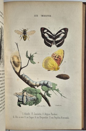 Histoire naturelle pour la jeunesse, contenant l'histoire abrégée des animaux… ornée de 150 gravures sur bois et de 12 lithographies coloriées