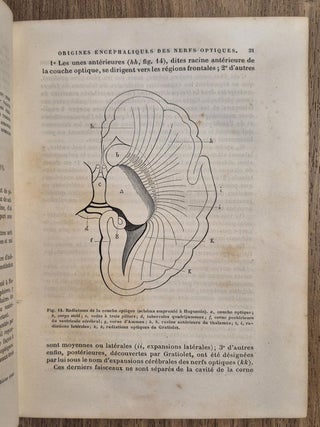 Traité des maladies des yeux