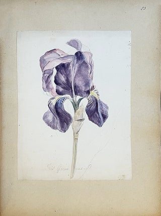 Item #5183 Les Fleurs d'agrément, album de l'amateur. Atlas. I. ROSNY, Lucien de