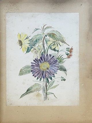 Les Fleurs d'agrément, album de l'amateur. Atlas. I.