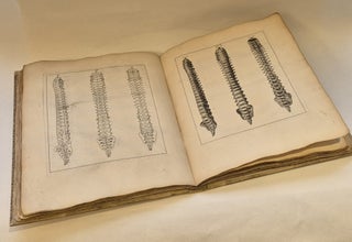 Item #5197 Icones ossium foetus humani accedit osteogeniae brevis historia. ALBINUS, Bernhard...