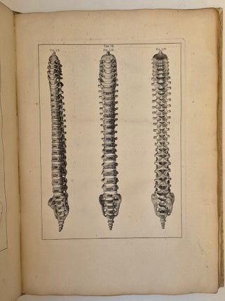 Icones ossium foetus humani accedit osteogeniae brevis historia