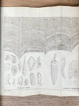 Nouveau manuel complet de géologie, ou Traité élémentaire de cette science.