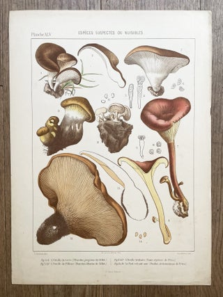 Atlas des champignons comestibles et v&eacute;n&eacute;neux de la France et des pays circonvoisins. 1er-[9e] fascicule.