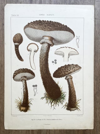 Atlas des champignons comestibles et v&eacute;n&eacute;neux de la France et des pays circonvoisins. 1er-[9e] fascicule.