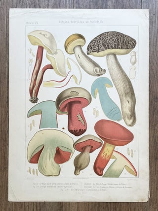 Atlas des champignons comestibles et v&eacute;n&eacute;neux de la France et des pays circonvoisins. 1er-[9e] fascicule.