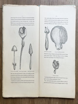 Atlas des champignons comestibles et v&eacute;n&eacute;neux de la France et des pays circonvoisins. 1er-[9e] fascicule.