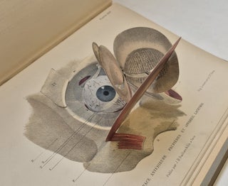 Item #5400 Atlas manuel d'anatomie élémentaire démontrée à l'aide de planches...