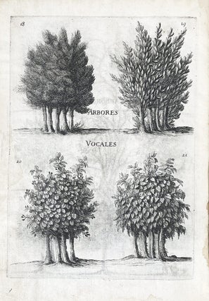 Dendrologie ou la forest de Dodonne.