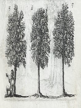 Dendrologie ou la forest de Dodonne.