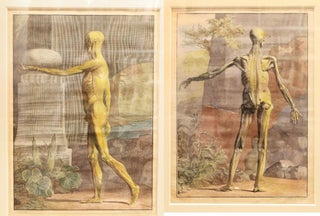 Deux estampes gravées sur cuivre – un squelette et un écorché –, ALBINUS, Bernhard Siegfried.