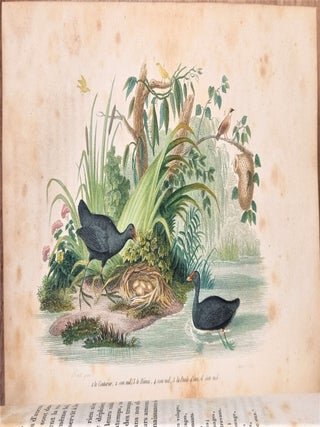 Lettres à Sophie sur la physique, la chimie et l'histoire naturelle