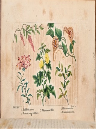 Lettres à Sophie sur la physique, la chimie et l'histoire naturelle