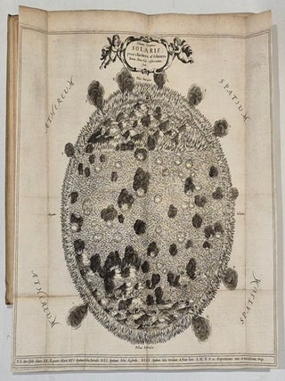 Oculus artificialis teledioptricus