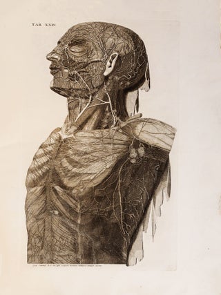 Item #YEG-982 Vasorum lymphaticorum corporis humani historia et ichnographia. MASCAGNI, Paulo